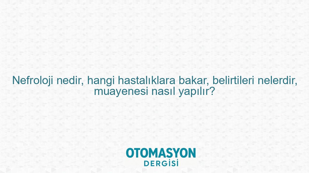 Nefroloji nedir, hangi hastalıklara bakar, belirtileri nelerdir, muayenesi nasıl yapılır? - Otomasyon Dergisi