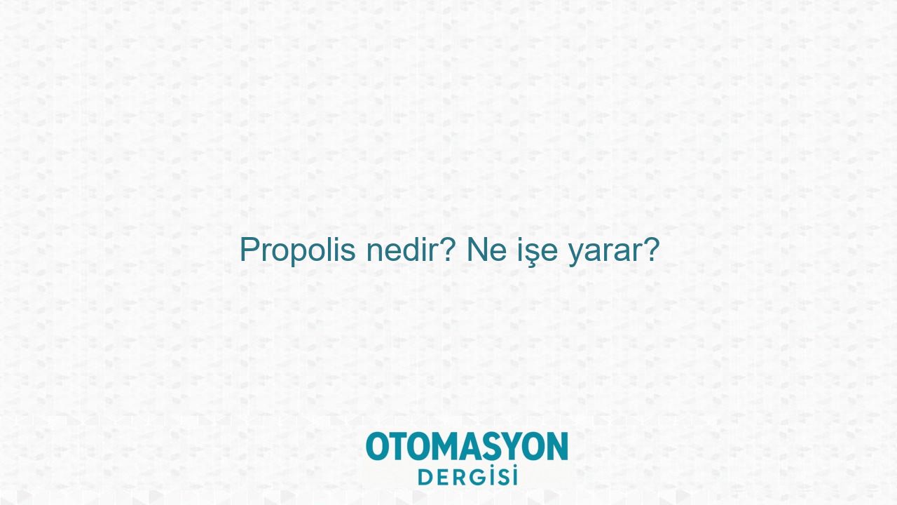 Propolis nedir? Ne işe yarar? - Otomasyon Dergisi
